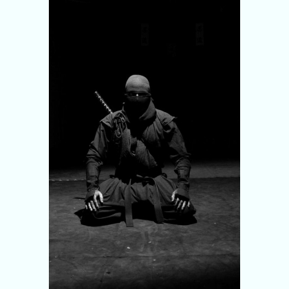 Lovely ninja